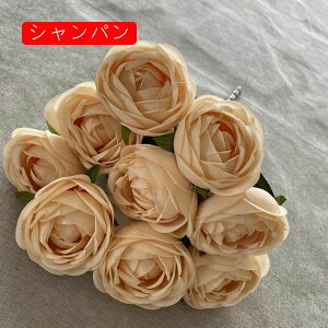 coL ԑ ͂Ȃ 218{  Ԍ|p j v[g  ʐ^Be p LO ̓Mtg }`bN  VN  { u[P  I