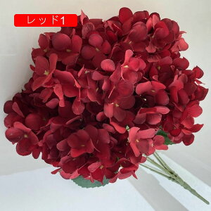 AWTC  ͂Ȃ  1 CeA A[gt[ ԑ u[1 v[g Mtg 蕨 JXj a    Be p z[ 뉀 sv  