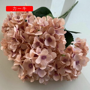 AWTC  ͂Ȃ  1 CeA A[gt[ ԑ u[1 v[g Mtg 蕨 JXj a    Be p z[ 뉀 sv  