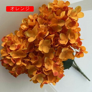 AWTC  ͂Ȃ  1 CeA A[gt[ ԑ u[1 v[g Mtg 蕨 JXj a    Be p z[ 뉀 sv  