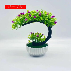 �I���V�W���[�� �ԕr�t�� ���G�} ���� ���� �{���������� �뉀 ���Ԍ|�p �I�t�B�X ���� ���p�� �i���X �J�X�j�� �ʐ^�B�e �����s�v ������ �l�H�ϗt�A�� �s���N �k�� �V���N���� �A�[�g