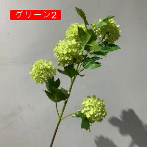 AWTC 210{  ͂Ȃ   O[1  ̓Mtg LO  { sv  t[ 뉀 Ԍ|p v[g  iX ԑ