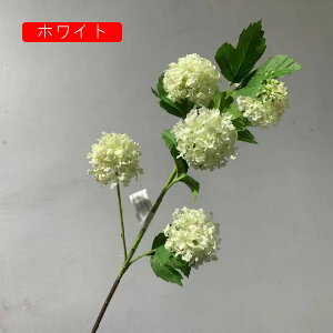 AWTC 210{  ͂Ȃ   O[1  ̓Mtg LO  { sv  t[ 뉀 Ԍ|p v[g  iX ԑ