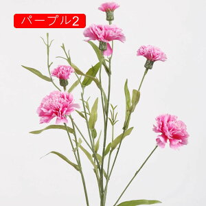  ͂Ȃ   J[l[V ̓Mtg LO  { sv  t[ CG[ 뉀 Ԍ|p v[g  iX ԑ VN