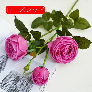 [Y  ͂Ȃ CeA A[gt[ ԑ Mtg 蕨 JXj a EFfBO u[P   Be p z[ 뉀 sv   3 {