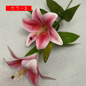 ͂Ȃ  1   Ԍ|p j v[g  ʐ^Be LO ̓ 뉀 p }`bN  VN  sv { u[P  k