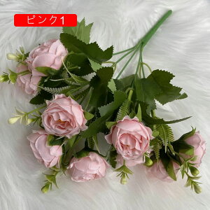 ͂Ȃ {^ 110{ ~ju[P  Ԍ|p j v[g  ʐ^Be LO ̓ }`bN  VN  { u[P  F u[