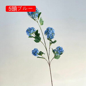 ԑ  Ԃ̉ԑ AWTC 5O[ lHϗtA ̓Mtg CeA u[P ͂Ȃ  VN JXj 뉀 Ԍ|p  ʐ^Be j v[g Ce