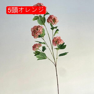 ԑ  Ԃ̉ԑ AWTC 5O[ lHϗtA ̓Mtg CeA u[P ͂Ȃ  VN JXj 뉀 Ԍ|p  ʐ^Be j v[g Ce