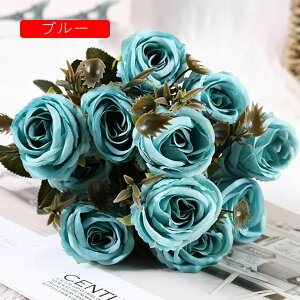 ԑ ͂Ȃ o  Ԍ|p j v[g }`bN  ʐ^Be LO ̓ }`bN  VN  { u[P  p[v1 F