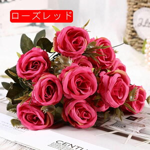 ԑ ͂Ȃ o  Ԍ|p j v[g }`bN  ʐ^Be LO ̓ }`bN  VN  { u[P  p[v1 F