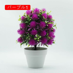 lHϗtA ԕrt {  sv ͂Ȃ   Lb` 뉀 Ԍ|p iX ~j  v[g k IVW[ p[v2 ԕȓ