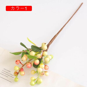   ͂Ȃ  1 u[x[̎  iX ʐ^Be p LO  { sv  t[ DIY k 뉀 Ԍ|p v[g VN