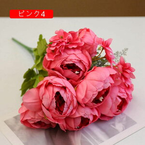 ԑ  {^ 131Zbg CeA ʐ^Be j  뉀 Ԍ|p  a ̓Mtg ͂Ȃ  hCt[ sN4 ~ju[P t[ lHϗtA