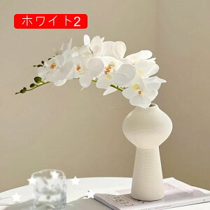 ԕȓ Ӓ { ͂Ȃ  LO ̓Mtg  sv  t[ 뉀 Ԍ|p v[g  iX ԑ VN  zCg O