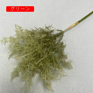    ͂Ȃ CeA ʐ^Be j v[g  iX p  sv  Ԍ|p lHϗtA  R[q[F 1 k DIY