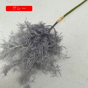    ͂Ȃ CeA ʐ^Be j v[g  iX p  sv  Ԍ|p lHϗtA  R[q[F 1 k DIY