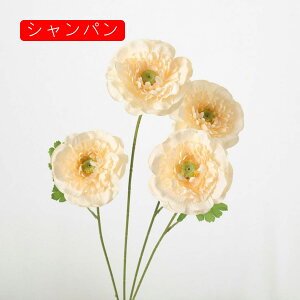  ͂Ȃ   J[l[V ̓Mtg LO  { sv  t[ Vp 뉀 Ԍ|p v[g  iX ԑ VN