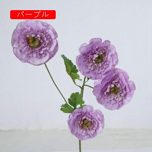  ͂Ȃ   J[l[V ̓Mtg LO  { sv  t[ Vp 뉀 Ԍ|p v[g  iX ԑ VN