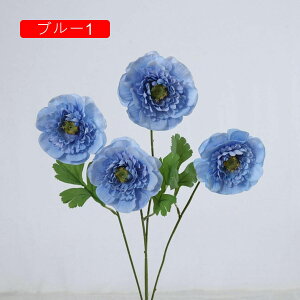  ͂Ȃ   J[l[V ̓Mtg LO  { sv  t[ Vp 뉀 Ԍ|p v[g  iX ԑ VN