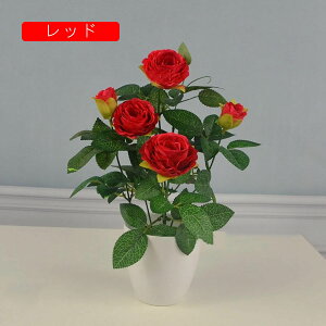 ԕȓ  { ͂Ȃ o CeA k ʐ^Be j v[g  iX  sv  G} Ԍ|p lHϗtA  sN 