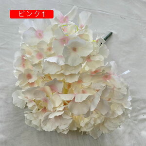 AWTC ͂Ȃ  1 DIY k  Ԍ|p j v[g  ʐ^Be LO ̓ }`bN VN sv  { u[P  
