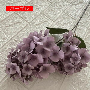 VN 1 AWTC ͂Ȃ {  DIY iX  JXj ʐ^Be Ԍ|p j v[g ̓Mtg  ԑ VN lHϗtA sN