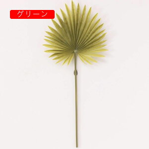 V̗t lHϗtA  { k INS CeA ʐ^Be j v[g  iX  sv  ͂Ȃ Ԍ|p  CG[ 