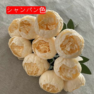 {^  ԑ 110{ sN2 lHϗtA ͂Ȃ Ԃ݂ Be ̓ j v[g  ItBX iX  CeA {  sv