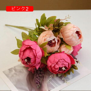 {^  ԑ 113{ CeA ʐ^Be j  뉀 Ԍ|p  a ̓Mtg ͂Ȃ  hCt[ sN1 ~ju[P t[ lHϗtA