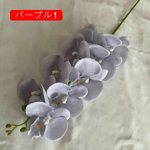  IVW[   { sv  ͂Ȃ  ʐ^Be j v[g a p  ̓Mtg u[P hCt[ IW