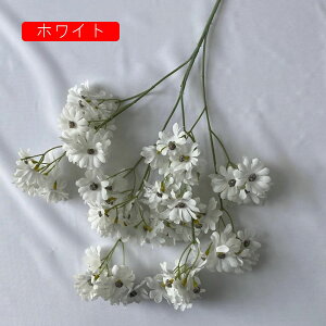  ͂Ȃ   e 2 LO  ̓Mtg { sv  t[ x[W 뉀 Ԍ|p v[g  iX ԑ VN k D