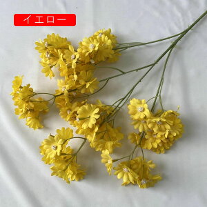  ͂Ȃ   e 2 LO  ̓Mtg { sv  t[ x[W 뉀 Ԍ|p v[g  iX ԑ VN k D