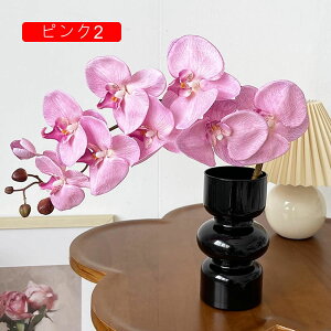 ԕȓ Zbg k Ӓ  { ̓Mtg LO  t[ p[v 뉀 Ԍ|p v[g  iX  VN ͂Ȃ sv 