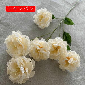 ԑ ͂Ȃ 61Zbg  Ԍ|p j v[g  ʐ^Be LO ̓ }`bN {  VN  { u[P  F u