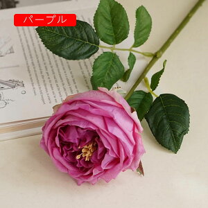 o  ͂Ȃ  1 ̓Mtg LO  { sv  t[ Vp 뉀 Ԍ|p v[g  iX ԑ VN hCt