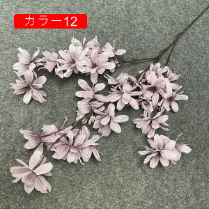  ԑ ͂Ȃ 1   Ԍ|p j v[g  ʐ^Be LO ̓ }`bN  VN  { u[P  F ~ju[P