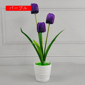 ԕȓ ͂Ȃ `[bv Ԍ|p j v[g  ʐ^Be LO ̓ }`bN  VN  { G} u[P  F p[v