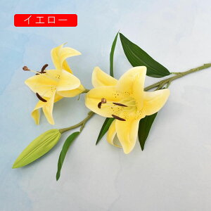   ͂Ȃ {   ̓Mtg LO  { sv  t[ Vp 뉀 Ԍ|p v[g  iX ԑ VN