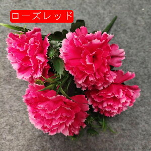 ̓Mtg J[l[V ԑ ~ju[P CG[ 16{  sv ͂Ȃ Ԍ|p 뉀  iX ʐ^Be k DIY  hCt[ 