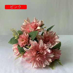   214{ { ꂢ ~ju[P  Ԍ|p  ʐ^Be LO ̓Mtg v[g ͂Ȃ sv  x[W VN