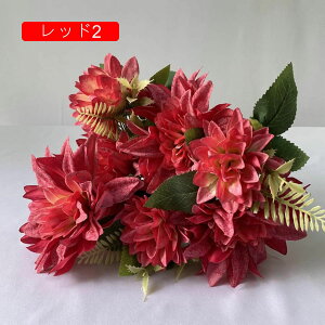   214{ { ꂢ ~ju[P  Ԍ|p  ʐ^Be LO ̓Mtg v[g ͂Ȃ sv  x[W VN