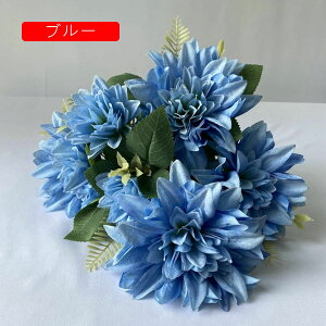   214{ { ꂢ ~ju[P  Ԍ|p  ʐ^Be LO ̓Mtg v[g ͂Ȃ sv  x[W VN