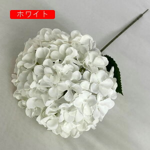  ͂Ȃ AWTCt[  1 ̓Mtg LO  { sv  t[ u[2 F 뉀 Ԍ|p v[g  iX ԑ VN