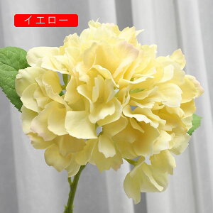 VN AWTC CG[ ͂Ȃ u[P { sv  iX p Ԍ|p  ʐ^Be LO CeA   ԑ