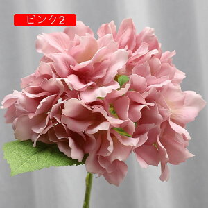 VN AWTC CG[ ͂Ȃ u[P { sv  iX p Ԍ|p  ʐ^Be LO CeA   ԑ