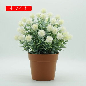 オンシジューム 造花 きく パープル 本物そっくり 光触媒 手作り 水やり不要 枯れない花 デコレーション インテリア キッチン 玄関飾り オフィス 喫茶店 美術館 アートフラワー プレゼント