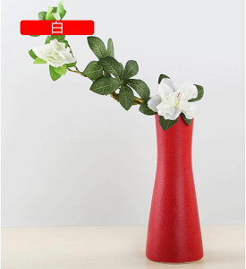 ԕr   t[x[X k ԕr   Vv ֑} CeA ԊZ~bN   ԕr zCg v[g Mtg 5*22cm 22cm 