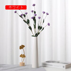 ԕr   2*26cm t[x[X k ԕr   Vv ֑} CeA ԊZ~bN   GKg zCg v[g Mtg 21.8cm