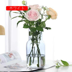 ԕr KX 7*20cm    01Ԃт Ԋ t[x[X KXx[X KX{g AW CeA ͔|   Vv r 傫 ֑}   t